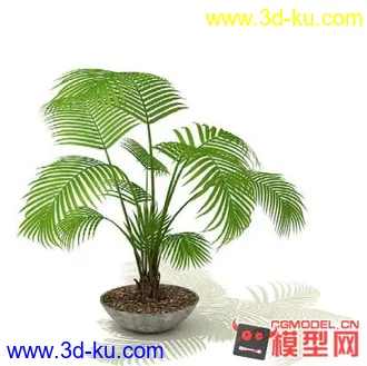 3D打印模型高质量免费盆栽盆景（带材质）精品68的图片