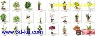 3D打印模型高质量免费盆栽盆景（带材质）精品68的图片