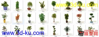 3D打印模型高质量免费盆栽盆景（带材质）精品68的图片