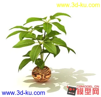 3D打印模型高质量免费盆栽盆景（带材质）精品68的图片