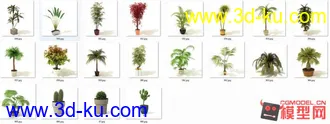 3D打印模型高质量免费盆栽盆景（带材质）精品68的图片