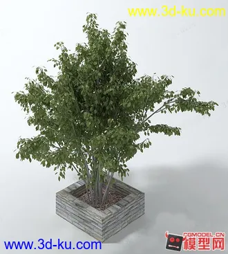 3D打印模型一颗景观小树分享下的图片