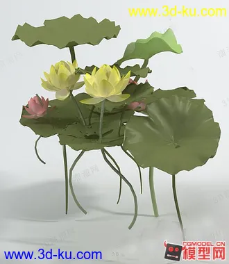 3D打印模型发一些荷花  可以看看的图片