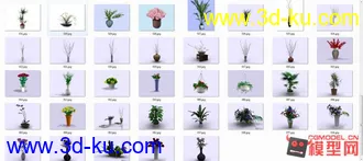 3D打印模型37盆栽花卉的图片