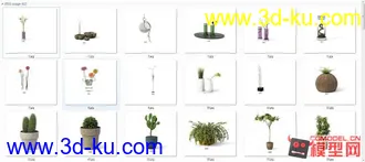 3D打印模型精品现代盆栽，花卉（有材质）63套的图片