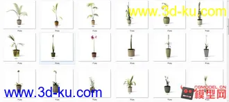 3D打印模型精品现代盆栽，花卉（有材质）63套的图片