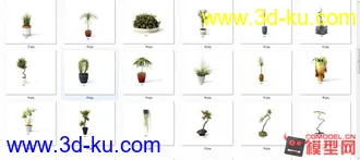 3D打印模型精品现代盆栽，花卉（有材质）63套的图片