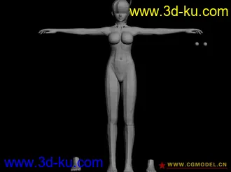 3D打印模型DOA AYANE 裸模的图片