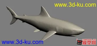 3D打印模型小鲨鱼的图片