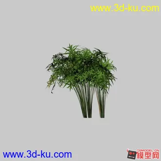 3D打印模型竹子的图片