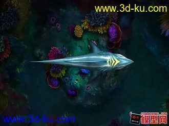 3D打印模型大鲨鱼的图片