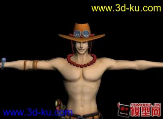 3D打印模型PS3海贼王无双2-火拳【艾斯】的图片
