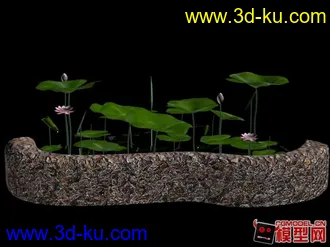 3D打印模型一些荷花.....的图片