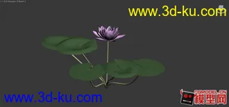 3D打印模型一些荷花.....的图片