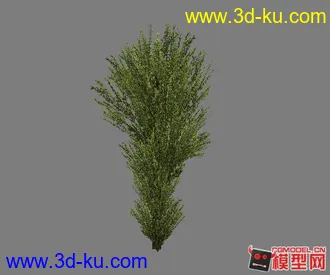 3D打印模型《兄弟连》ps2的植物模的图片