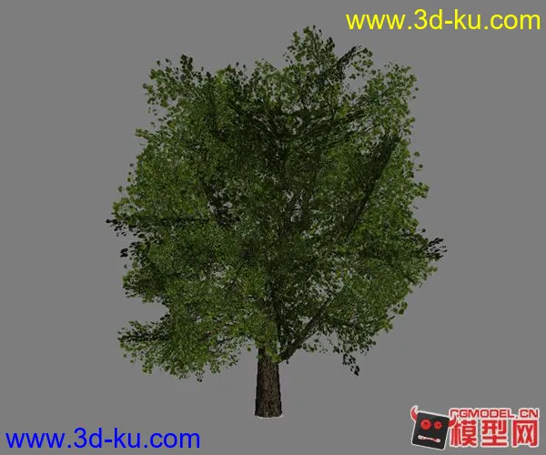 《兄弟连》ps2的植物模模型的图片3