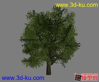 3D打印模型《兄弟连》ps2的植物模的图片