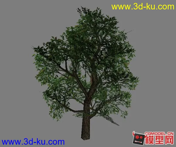 《兄弟连》ps2的植物模模型的图片4