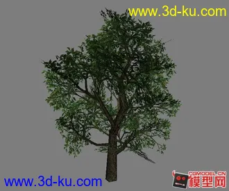 3D打印模型《兄弟连》ps2的植物模的图片