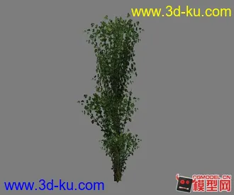 3D打印模型《兄弟连》ps2的植物模的图片
