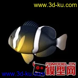 3D打印模型卡通鱼的图片