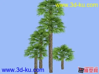 3D打印模型棕榈树团 免费下载的图片