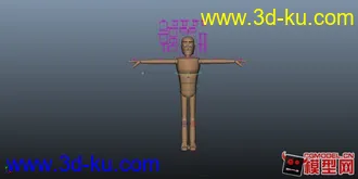 用来联系动画或者绑定的一组模型的图片