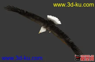 3D打印模型动物园的图片