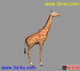 3D打印模型动物园的图片
