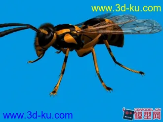 3D打印模型动物园的图片