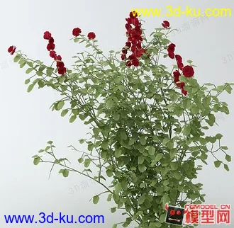 3D打印模型花草的图片