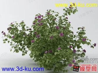 3D打印模型花草的图片