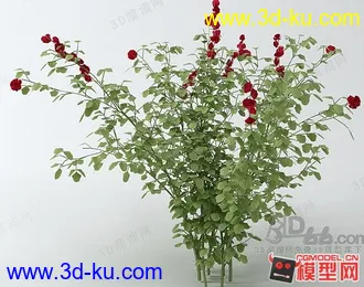 3D打印模型花草的图片