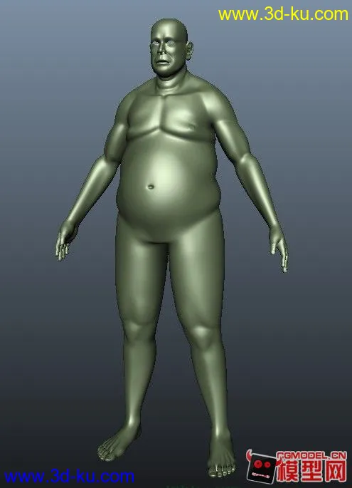 大胖子模型的图片1