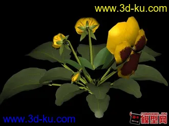 3D打印模型花草的图片
