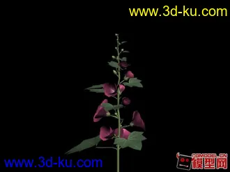 3D打印模型花草的图片