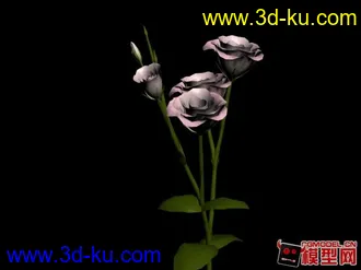 3D打印模型花草的图片