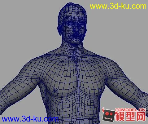 标准人体模型，布线非常不错，超写实的。的图片4