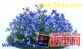 3D打印模型紫色的花的图片