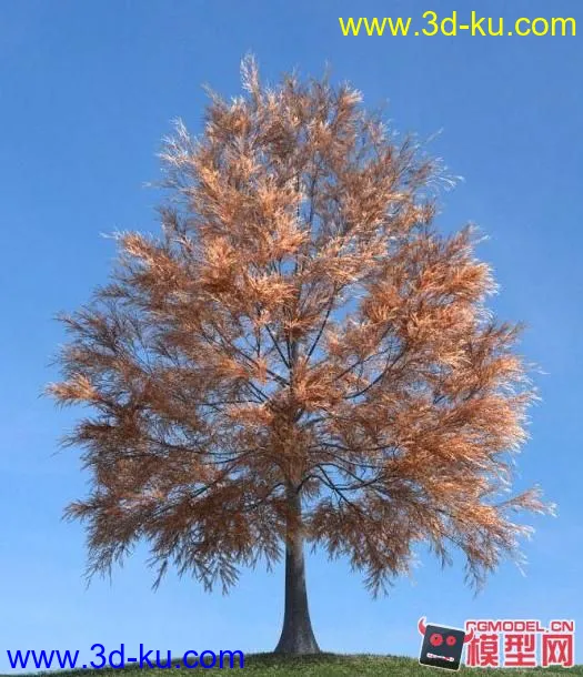 秋天的树模型的图片2