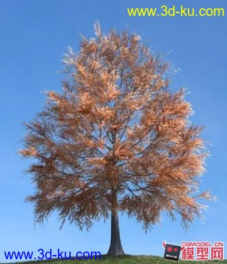 3D打印模型秋天的树的图片