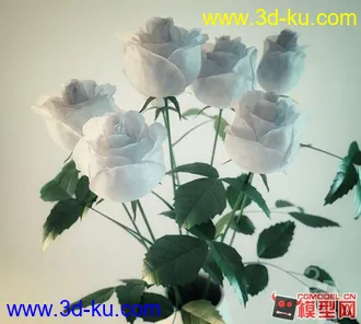 3D打印模型白色枚瑰的图片