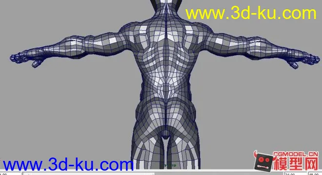 人体模型下载——高精度人体与大家分享的图片2