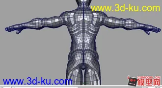 人体模型下载——高精度人体与大家分享的图片