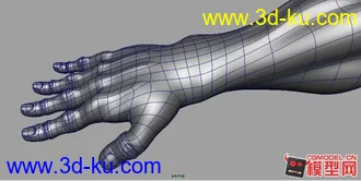 人体模型下载——高精度人体与大家分享的图片