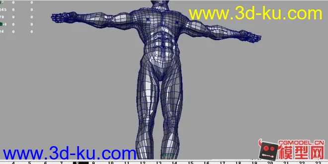 人体模型下载——高精度人体与大家分享的图片5