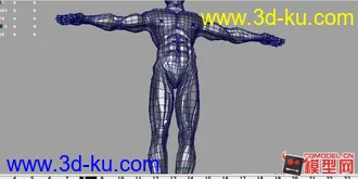 人体模型下载——高精度人体与大家分享的图片