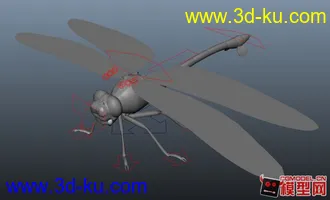 3D打印模型蜻蜓的图片