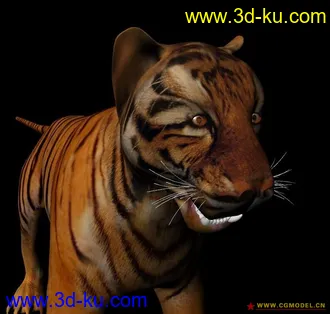 3D打印模型绑骨后的一只猛虎，有贴图的图片