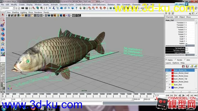 maya草鱼绑定一条,2010版本通过模型的图片1